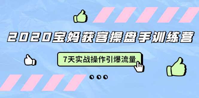 2020宝妈获客操盘手训练营：7天实战操作引爆 母婴、都市、购物宝妈流量-课程网