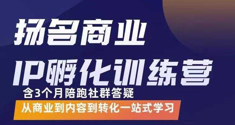 杨名商业IP孵化训练营，从商业到内容到转化一站式学 价值5980元-课程网