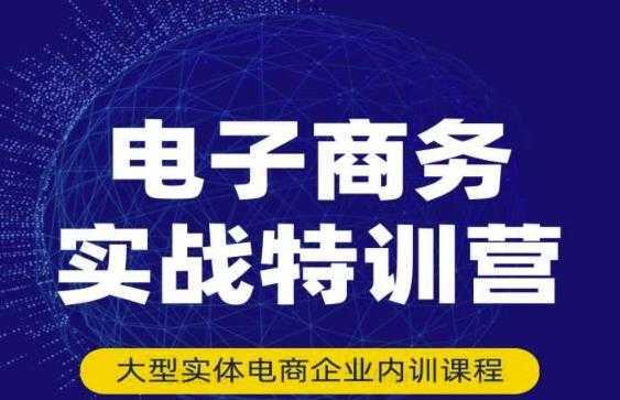 民赛电气内部出品：电子商务实战特训营，全方位带你入门电商，308种方式玩转电商-课程网