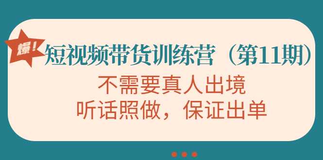 图片[1]-视频带货训练营，不需要真人出境，听话照做，保证出单（第11期）-课程网